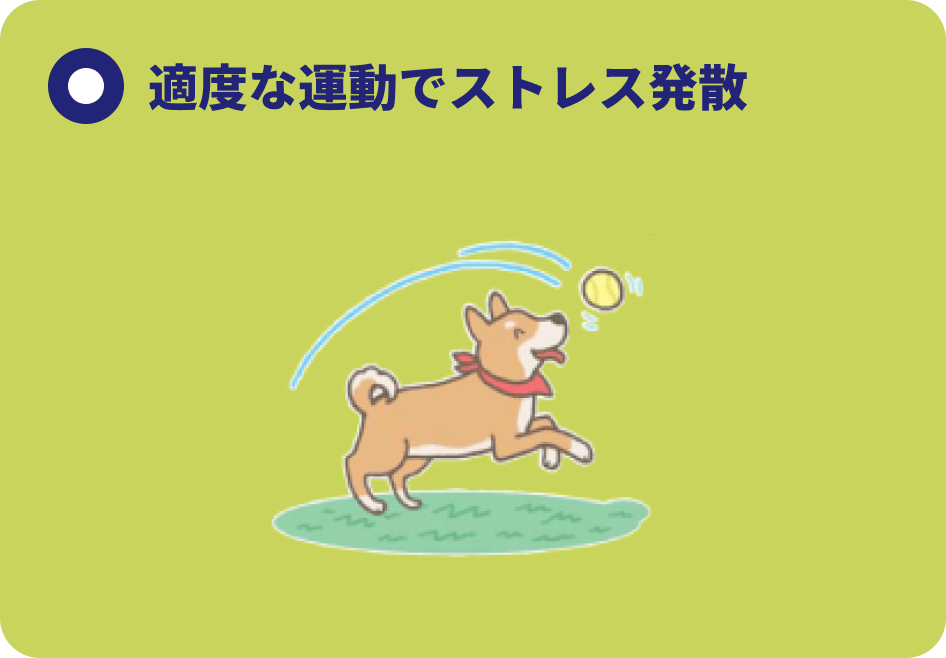 適度な運動でストレス発散