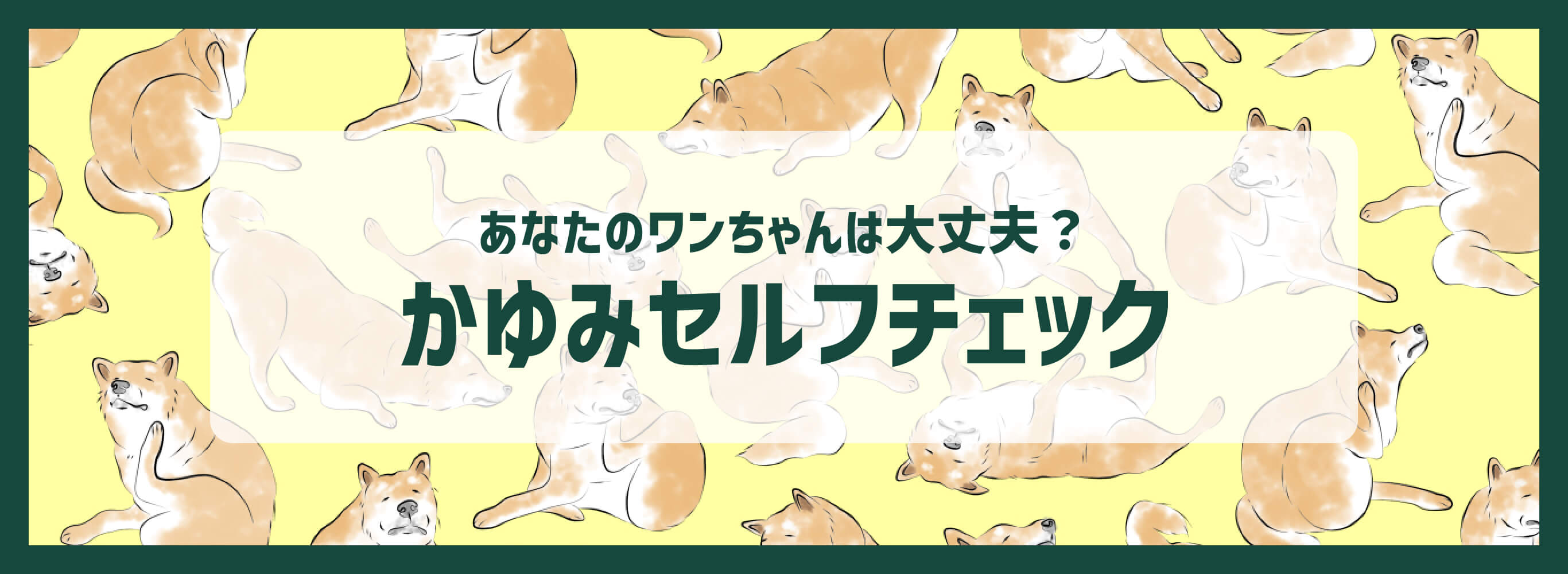 あなたのワンちゃんは大丈夫？かゆみセルフチェック