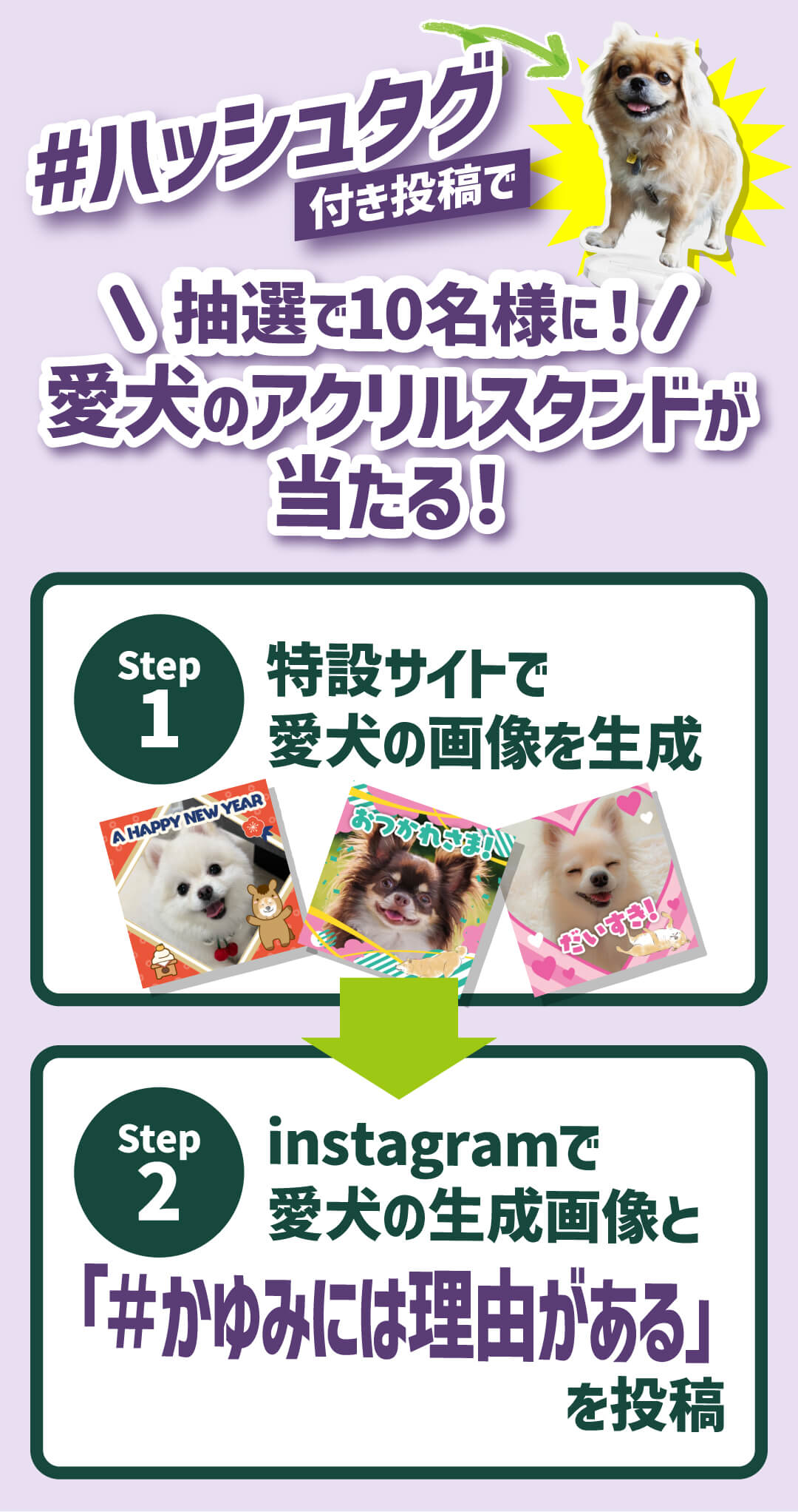 #ハッシュタグ付き投稿で 抽選で10名様に！愛犬のアクリルスタンドが当たる！